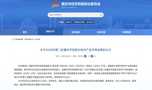 2025年第二批重慶市首版次軟件產(chǎn)品名單公示，引領(lǐng)行業(yè)創(chuàng)新與發(fā)展